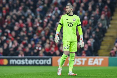 UEFA Şampiyonlar Ligi sırasında Lille 'den Lucas Chevalier - Lig Sahnesi Liverpool-Lille Anfield, Liverpool, İngiltere, 21 Ocak 2025