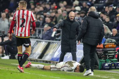 Swansea City teknik direktörü Luke Williams, Swansea City 'nin Swansea.com Stadyumu' nda oynanan Swansea City - Sheffield United maçında yaralanan Swansea City 'li Ronald' a bakıyor.