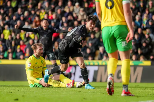 Swansea City AFC 'den Liam Cullen, 25 Ocak 2025' te Norwich City ile Swansea City arasındaki Sky Bet Şampiyonası maçında 1-1 berabere kaldı.