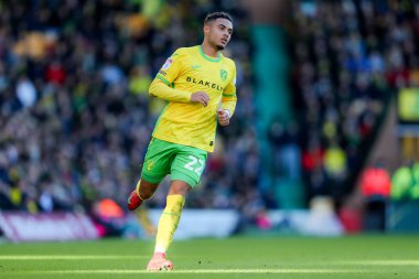 Norwich City 'den Lewis Dobbin, 25 Ocak 2025' te Norwich City 'nin Carrow Road, Norwich' te Swansea City 'ye karşı oynadığı Gökyüzü İddia Şampiyonası maçında eylemde.