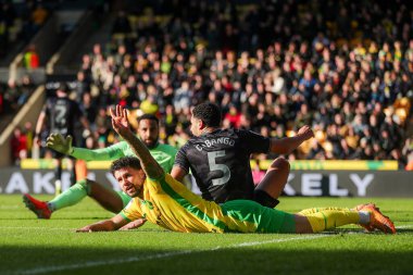 Norwich City 'den Emiliano Marcondes, 25 Ocak 2025' te Norwich City ile Swansea City arasındaki Sky Bet Şampiyonası maçında topu istiyor.