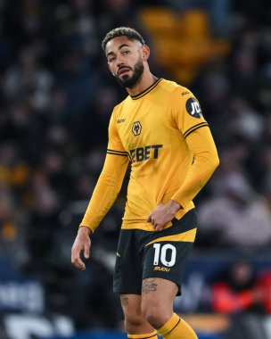 Wolverhampton Wanderers 'dan Matheus Cunha Premier League maçında Wolverhampton Wanderers Arsenal' e karşı Molineux, Wolverhampton, Birleşik Krallık, 25 Ocak 2025