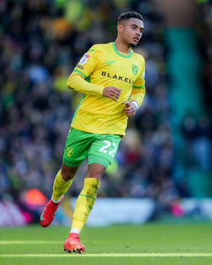 Norwich City 'den Lewis Dobbin, 25 Ocak 2025' te Norwich City 'nin Carrow Road, Norwich' te Swansea City 'ye karşı oynadığı Gökyüzü İddia Şampiyonası maçında eylemde.