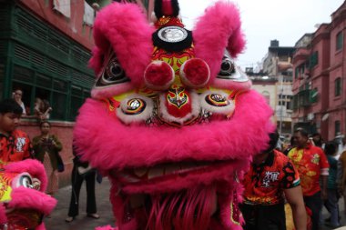 Katılımcılar, 29 Ocak 2025 'te Hindistan' ın Kolkata kentinde bulunan Lunar Yeni Yılı vesilesiyle Debajyoti Chakraborty 'nin çektiği fotoğraflarla bir kalabalığın önünde ejderha dansı yaparken görülüyor. (Fotoğraf: Ahlaksız Chakraborty / Haber Resimleri)