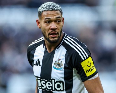 Newcastle United takımından Joelinton, 1 Şubat 2025 'te St. James' s Park, Newcastle, İngiltere 'de oynanan Premier League karşılaşmasında Newcastle United' a karşı Fulham 'ı izliyor.