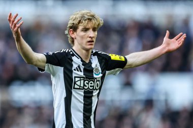 Newcastle United takımından Anthony Gordon, 1 Şubat 2025 'te St. James' s Park, Newcastle, İngiltere 'de oynanan Premier League karşılaşmasında tepki gösterdi.