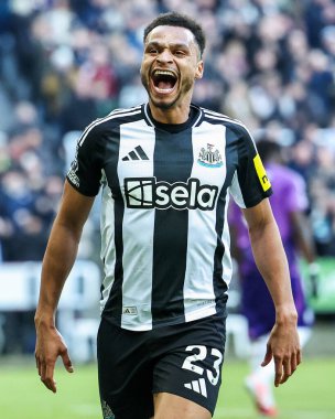 Newcastle United takımından Jacob Murphy, 1 Şubat 2025 'te St. James' s Park, Newcastle, İngiltere 'de oynanan Premier League maçı Newcastle United ve Fulham maçında 1-0 kazanma hedefini kutluyor.