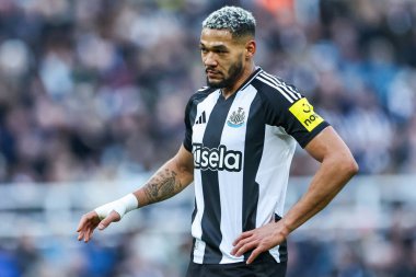 Newcastle United takımından Joelinton, 1 Şubat 2025 'te St. James' s Park, Newcastle, İngiltere 'de oynanan Premier League karşılaşmasında Newcastle United' a karşı Fulham 'ı izliyor.