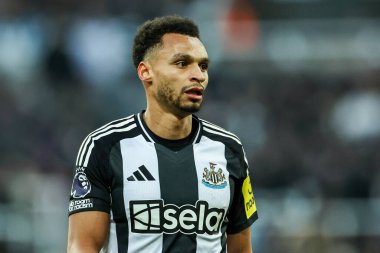 Newcastle United takımından Bruno Guimaraes, 1 Şubat 2025 'te St. James' s Park, Newcastle, İngiltere 'de oynanan Premier League karşılaşmasında Newcastle United' a karşı Fulham maçını izliyor.