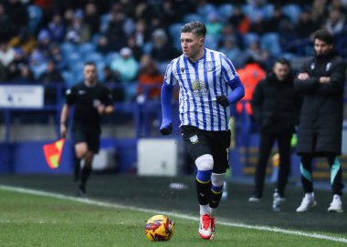 Sheffield Wednesday 'den Josh Windass 1 Şubat 2025' te İngiltere 'nin başkenti Hillsborough' da oynanan Sheffield Wednesday-Luton Town maçında topu ileri sürüyor.