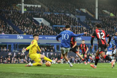 Everton 'dan Iliman Ndiaye, 8 Şubat 2025 tarihinde İngiltere' nin Liverpool kentinde Goodison Park 'ta oynanan 4.