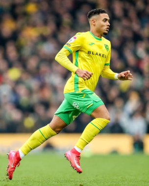 Norwich City 'den Lewis Dobbin, 8 Şubat 2025' te Norwich City 'nin Carrow Road, Norwich County' e karşı oynadığı Gökyüzü İddia Şampiyonası maçında görev başında.
