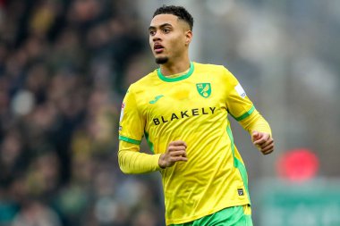 Norwich City 'den Lewis Dobbin, 8 Şubat 2025' te Norwich City 'nin Carrow Road, Norwich County' e karşı oynadığı Gökyüzü İddia Şampiyonası maçında görev başında.