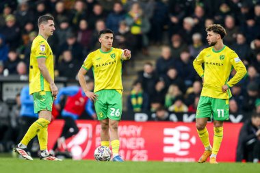 Norwich City 'den Marcelino Nunez, 8 Şubat 2025' te Norwich City - Derby County, Norwich Road, İngiltere 'de oynanan Sky Bet Şampiyonası maçında takım talimatlarını veriyor.