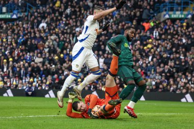 Millwall 'dan Liam Roberts topu kurtarırken, Leeds United takımından Mateo Joseph, 8 Şubat 2025 tarihinde Elland Road, Leeds, İngiltere' de oynanan 4.