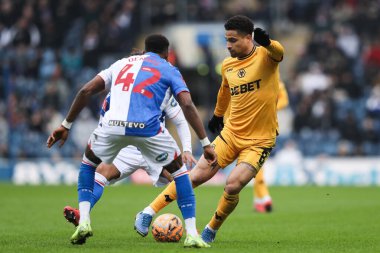 Wolverhampton Wanderers takımından Joo Gomes, 9 Şubat 2025 'te Ewood Park, Blackburn, Birleşik Krallık' ta düzenlenen dördüncü tur Blackburn Rovers - Wolverhampton Wanderers karşılaşmasında sahada.