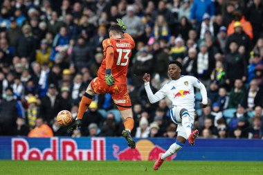 Millwall 'dan Liam Roberts, Leeds United takımından Largie Ramazani' nin 8 Şubat 2025 'te Elland Road, Leeds, Birleşik Krallık' ta oynanan dördüncü tur karşılaşmasında topu temizliyor.