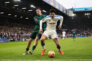 Leeds United takımından Pascal Struijk, 8 Şubat 2025 'te İngiltere' nin Leeds şehrinde oynanan 4. Lig karşılaşmasında Millwall 'dan Camiel Neghli' yi durdurdu.