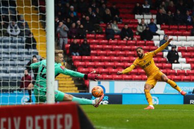 Wolverhampton Wanderers 'dan Matheus Cunha, 9 Şubat 2025' te Ewood Park, Blackburn, Birleşik Krallık 'ta oynanan 4.