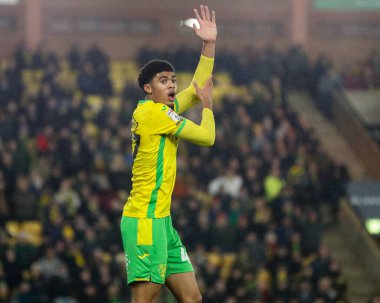 Norwich City 'den Lucien Mahovo, 11 Şubat 2025' te Norwich City ve Preston North End arasındaki Sky Bet Şampiyonası maçında el topu çağrısında bulundu.