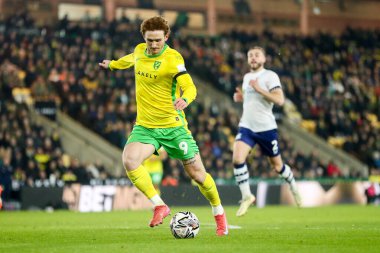 Norwich City 'den Josh Sargent 11 Şubat 2025' te Norwich City, Norwich North End 'e karşı oynanan Sky Bet Şampiyonası maçında çekim yapıyor.