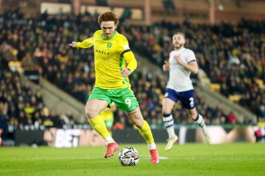 Josh Sargent of Norwich City shoots during the Sky Bet Championship match Norwich City vs Preston North End at Carrow Road, Norwich, United Kingdom, 11th February 2025 clipart