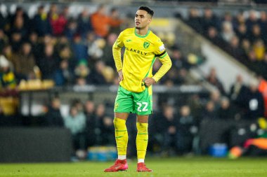 Norwich City 'den Lewis Dobbin 11 Şubat 2025' te Norwich City, Norwich North End 'e karşı oynanan Gökyüzü İddia Şampiyonası maçına bakıyor.