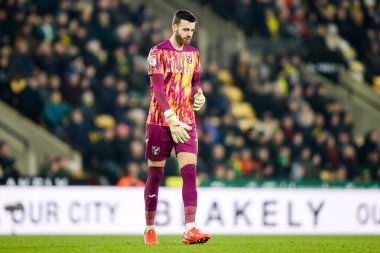 Norwich City 'den Angus Gunn, 11 Şubat 2025' te Norwich City, Norwich North End 'e karşı oynanan Gökyüzü İddia Şampiyonası maçında üzgün görünüyor.