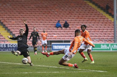 Blackpool 'dan Ashley Fletcher 15 Şubat 2025' te Bloomfield Road, Blackpool 'da oynanan Blackpool-Mansfield Town maçında 2-3 berabere kaldı.