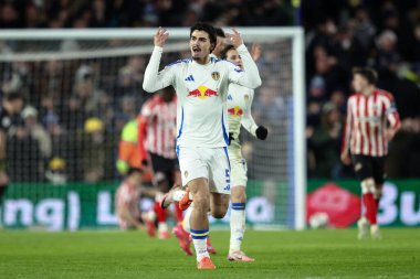 Leeds United takımından Pascal Struijk, 17 Şubat 2025 'te Leeds Road, Leeds, İngiltere' de oynanan Sky Bet Şampiyonası maçında 1-1 'lik galibiyet golünü kutluyor.