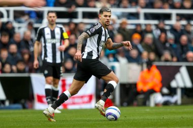 Newcastle United takımından Mark Gillespie, 23 Şubat 2025 'te İngiltere' nin Newcastle kentinde St.James 's Park' ta oynanan Premier League maçı sırasında topla koşuyor.