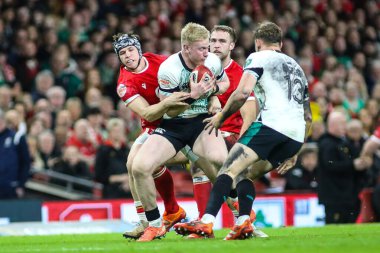 İrlandalı Jamie Osborne, 22 Şubat 2025 tarihinde İngiltere 'nin Cardiff kentindeki Principality Stadyumu' nda Galler - İrlanda maçında Galler maçı sırasında Galler 'den Tom Rogers tarafından yenildi.