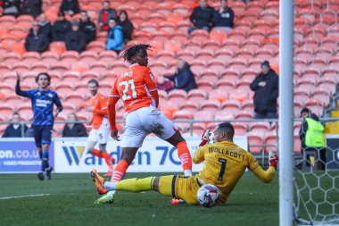 Blackpool 'dan Niall Ennis, 21 Şubat 2025' te Bloomfield Road, Blackpool 'da oynanan Blackpool-Crawley Town maçında 2-0 berabere kaldı.