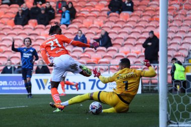 Blackpool 'dan Niall Ennis, 21 Şubat 2025' te Bloomfield Road, Blackpool 'da oynanan Blackpool-Crawley Town maçında 2-0 berabere kaldı.