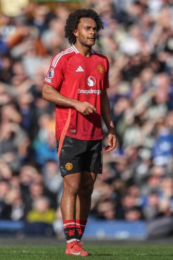 Manchester United takımından Joshua Zirkzee Premier League maçında Everton, Manchester United 'a karşı Goodison Park, Liverpool, Birleşik Krallık' ta 22 Şubat 2025