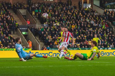 Norwich City 'den Josh Sargent, 22 Şubat 2025' te Norwich City ile Stoke City arasındaki Sky Bet Şampiyonası maçında topu gevşek topa kaydırıyor.