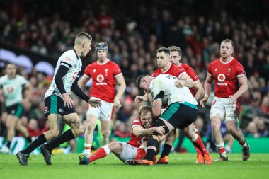 İrlandalı Dan Sheehan, 22 Şubat 2025 tarihinde İngiltere 'nin Cardiff kentindeki Principality Stadyumu' nda Galler - İrlanda maçında Galler maçı sırasında Galler 'den Blair Murray ile karşılaştı.