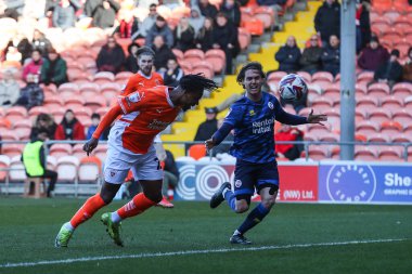 Blackpool 'dan Niall Ennis, 21 Şubat 2025' te Bloomfield Road, Blackpool 'da oynanan Blackpool-Crawley Town maçında 1-0 berabere kaldı.
