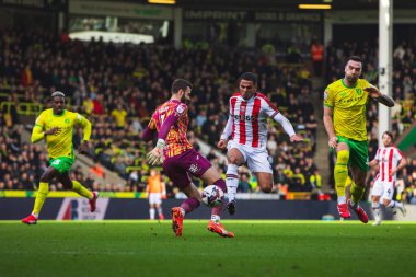 Stoke City 'den Ali Al-Hamadi 22 Şubat 2025' te Norwich City, Norwich City 'de Stoke City' ye karşı oynanan Sky Bet Şampiyonası maçında Norwich City 'den Angus Gunn' ı turluyor.