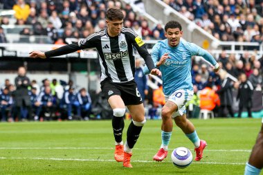Newcastle United takımından Lewis Miley, Premier League maçı Newcastle United 'a karşı Nottingham Forest maçında 23 Şubat 2025' te St. James 's Park, Newcastle, İngiltere' de 1-1 öne geçti.