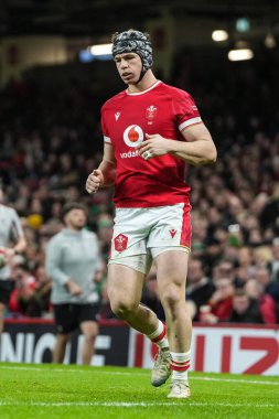 Galler 'den Tom Rogers, 2025 Guinness 6 Milletler, 22 Şubat 2025' te İngiltere 'nin Cardiff şehrindeki Principality Stadyumu' nda Galler 'e karşı İrlanda maçı yaptı.