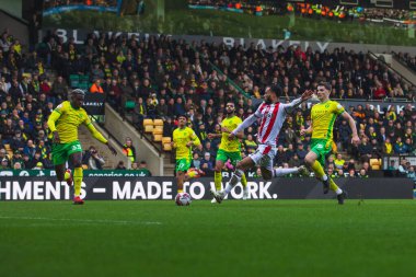 Stoke City 'den Lewis Baker Stokes' u vuruyor ve Stokes 'un ilk golünü atıyor. 22 Şubat 2025' te Norwich City ile Stoke City arasında oynanan Carrow Road, Norwich City maçında.