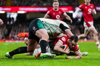 Galler 'den Tomos Williams, 22 Şubat 2025 tarihinde İngiltere' nin Cardiff kentindeki Principality Stadyumu 'nda oynanan 2025 Guinness 6 Milletle Galler maçı sırasında bu hat için mücadele etti.