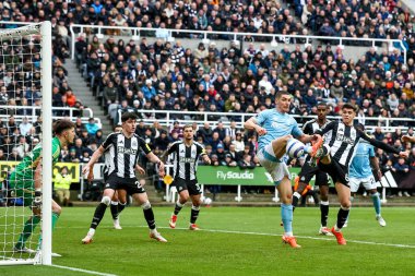 Nottingham Ormanı 'ndan Nikola Milenkoviç Premier Lig maçı Newcastle United ve Nottingham Ormanı maçında 23 Şubat 2025' te St. James 's Park, Newcastle, İngiltere' de 4-2 berabere kaldı.