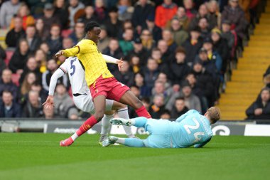 Watford 'lu Mamadou Doumbia, 23 Şubat 2025' te Watford-Luton Town maçında penaltıyı kazandı.