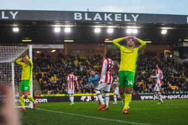 Norwich City 'den Ben Chrisene, 22 Şubat 2025' te Norwich City ile Stoke City arasında oynanan Sky Bet Şampiyonası maçında gol atmayı kıl payı kaçırdı.