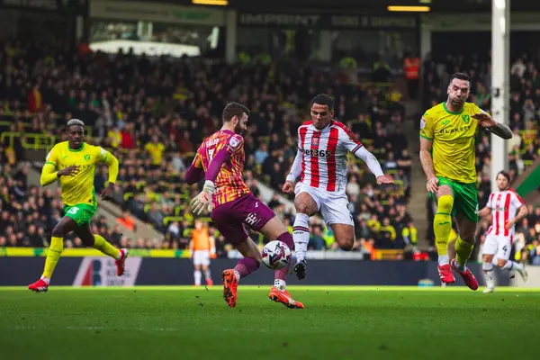 Stoke City 'den Ali Al-Hamadi 22 Şubat 2025' te Norwich City, Norwich City 'de Stoke City' ye karşı oynanan Sky Bet Şampiyonası maçında Norwich City 'den Angus Gunn' ı turluyor.