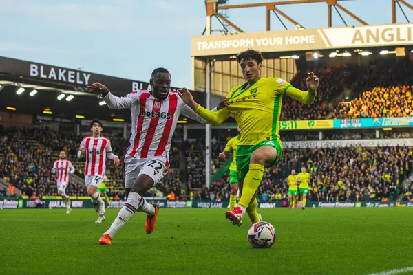Norwich City 'den Ben Chrisene, Stoke City' den Junior Tchamadeu 22 Şubat 2025 'te Norwich City' nin Stoke City 'e karşı oynadığı maçta top için mücadele ediyor.