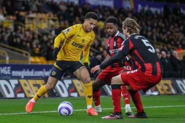 Wolverhampton Wanderers takımının oyuncusu Joo Gomes Premier League maçında Wolverhampton Wanderers Fulham 'a karşı Molineux, Wolverhampton, Birleşik Krallık' ta, 25 Şubat 2025