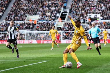 Brighton & Hove Albion takımından Joo Pedro, 2 Mart 2025 tarihinde İngiltere 'nin Newcastle kentindeki St. James' s Park 'ta düzenlenen 5.